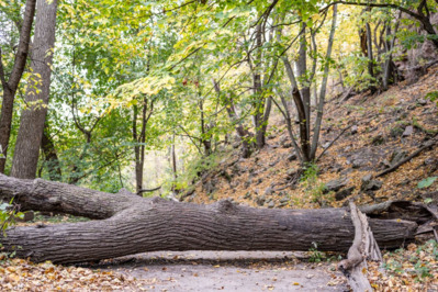 Haftung der Gemeinde: Tod in der Klamm